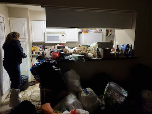Professional Hoarder House Cleanup